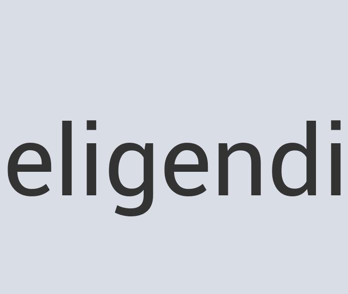 Ergonomic Silk Bag of Scones